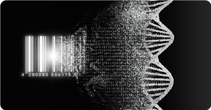 DNA made solutions